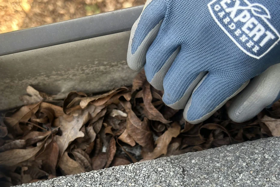 Gutter Cleaning St. Martinville