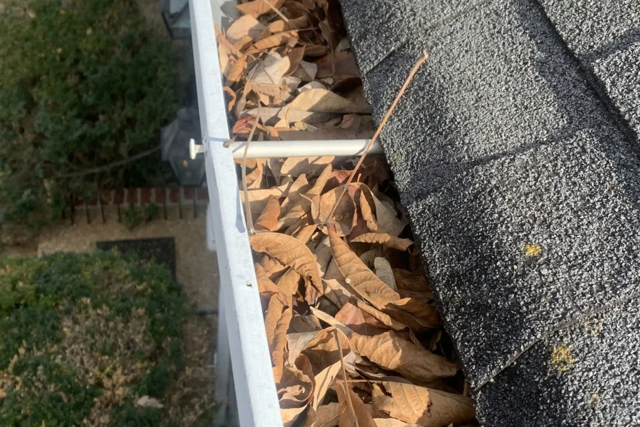 Gutter Cleaning St. Martinville