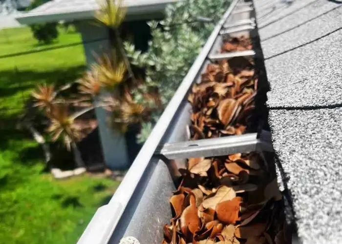 Gutter Cleaning St. Martinville home page